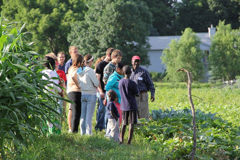 Global Greens Farm